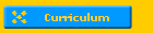 Curriculum