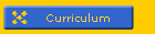 Curriculum